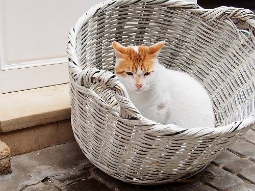 f:id:tetsujin96:20140418075321j:plain