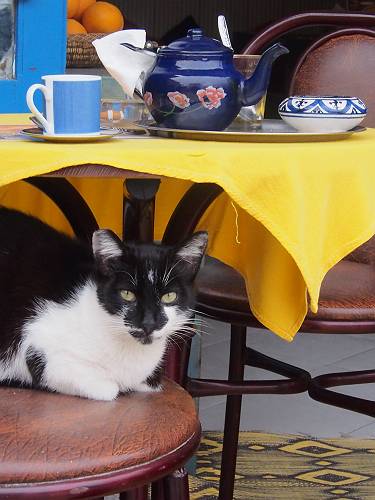 f:id:tetsujin96:20140418075430j:plain