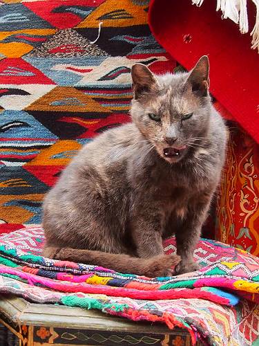 f:id:tetsujin96:20140418075445j:plain