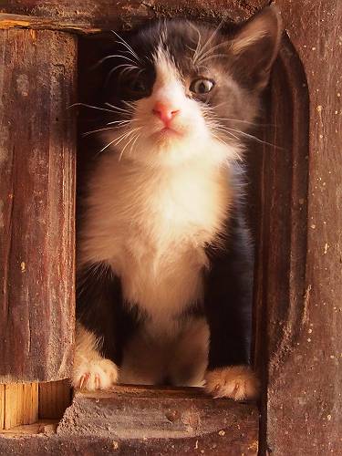 f:id:tetsujin96:20140425052042j:plain