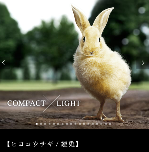 f:id:tetsutylor:20141010222342j:plain f:id:tetsutylor:20141010222342j:plain