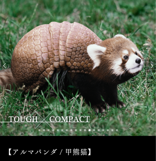 f:id:tetsutylor:20141010222359j:plain f:id:tetsutylor:20141010222359j:plain