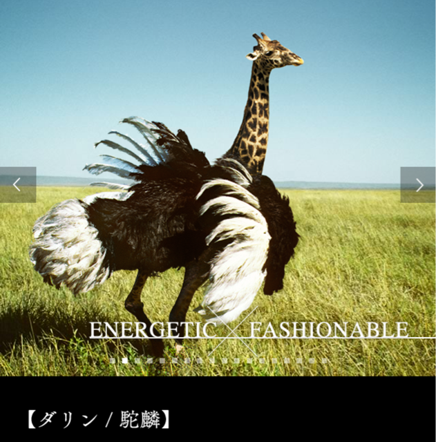 f:id:tetsutylor:20141010222417j:plain f:id:tetsutylor:20141010222417j:plain