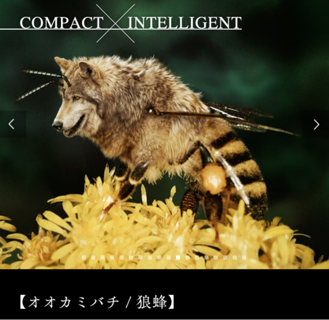 f:id:tetsutylor:20141010222454j:plain f:id:tetsutylor:20141010222454j:plain