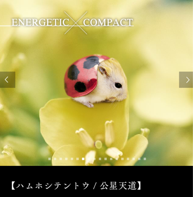 f:id:tetsutylor:20141010222516j:plain f:id:tetsutylor:20141010222516j:plain