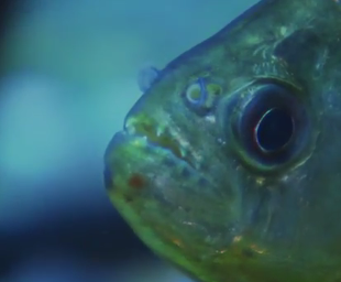 f:id:tetsutylor:20170814170947p:plain f:id:tetsutylor:20170814170947p:plain