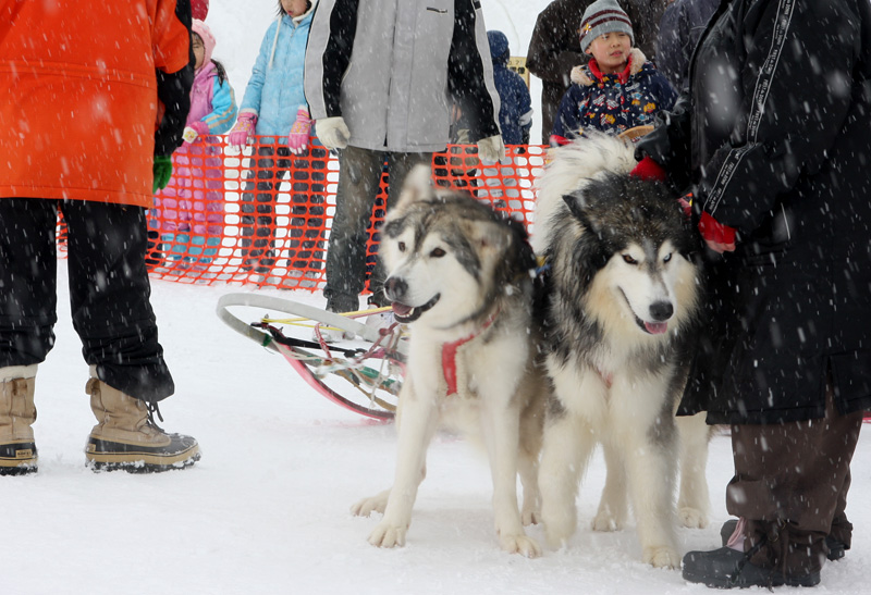 f:id:tett_k2:20090215223638j:image:w600 f:id:tett_k2:20090215223638j:image:w600