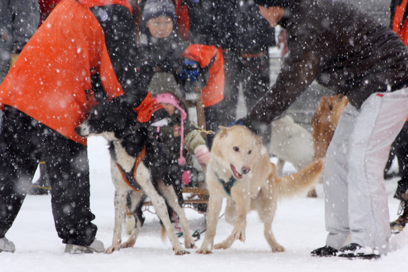 f:id:tett_k2:20090215223714j:image:w600 f:id:tett_k2:20090215223714j:image:w600
