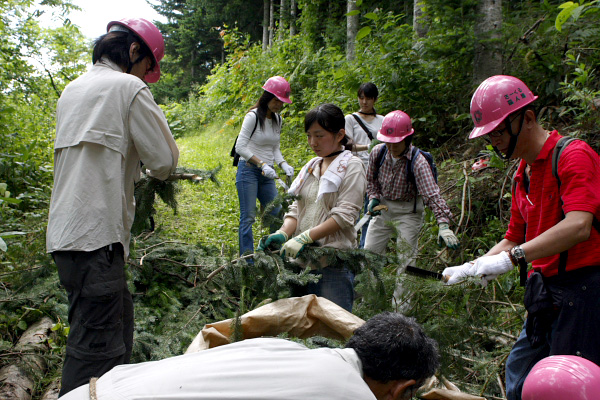 f:id:tett_k2:20091101230532j:image f:id:tett_k2:20091101230532j:image