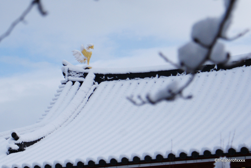 f:id:theaterofxxxx:20150102092010j:plain f:id:theaterofxxxx:20150102092010j:plain