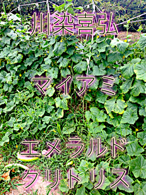 f:id:theyare:20140804050623j:plain f:id:theyare:20140804050623j:plain