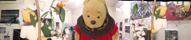 f:id:theyare:20150222071050j:plain f:id:theyare:20150222071050j:plain