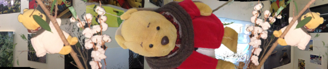 f:id:theyare:20150222072613j:plain f:id:theyare:20150222072613j:plain