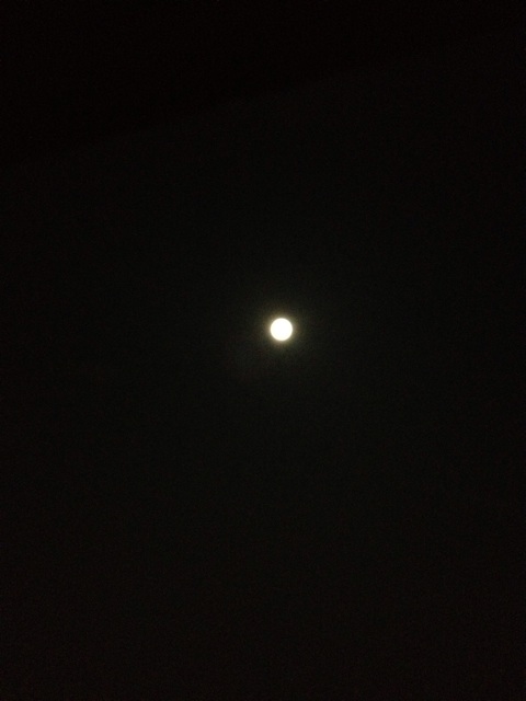 f:id:thierrybuddhist:20141023125838j:plain f:id:thierrybuddhist:20141023125838j:plain