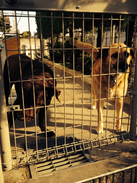 f:id:thierrybuddhist:20141105120117j:plain f:id:thierrybuddhist:20141105120117j:plain
