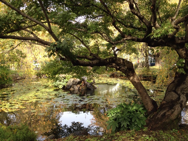f:id:thierrybuddhist:20150114114851j:plain f:id:thierrybuddhist:20150114114851j:plain