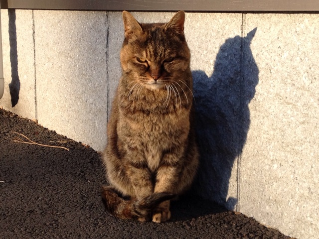 f:id:thierrybuddhist:20150324142513j:plain f:id:thierrybuddhist:20150324142513j:plain