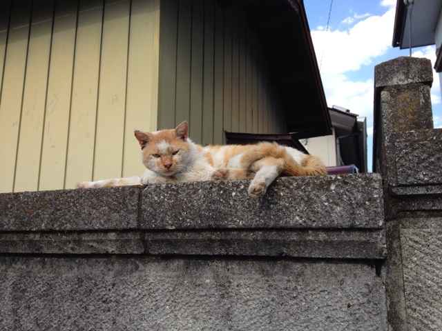 f:id:thierrybuddhist:20150513195438j:plain f:id:thierrybuddhist:20150513195438j:plain