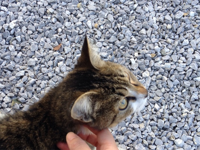 f:id:thierrybuddhist:20151013114630j:plain f:id:thierrybuddhist:20151013114630j:plain