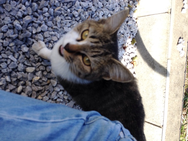 f:id:thierrybuddhist:20151013114707j:plain f:id:thierrybuddhist:20151013114707j:plain