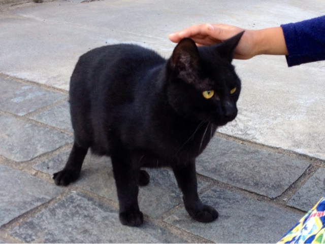 f:id:thierrybuddhist:20160106110434j:plain f:id:thierrybuddhist:20160106110434j:plain