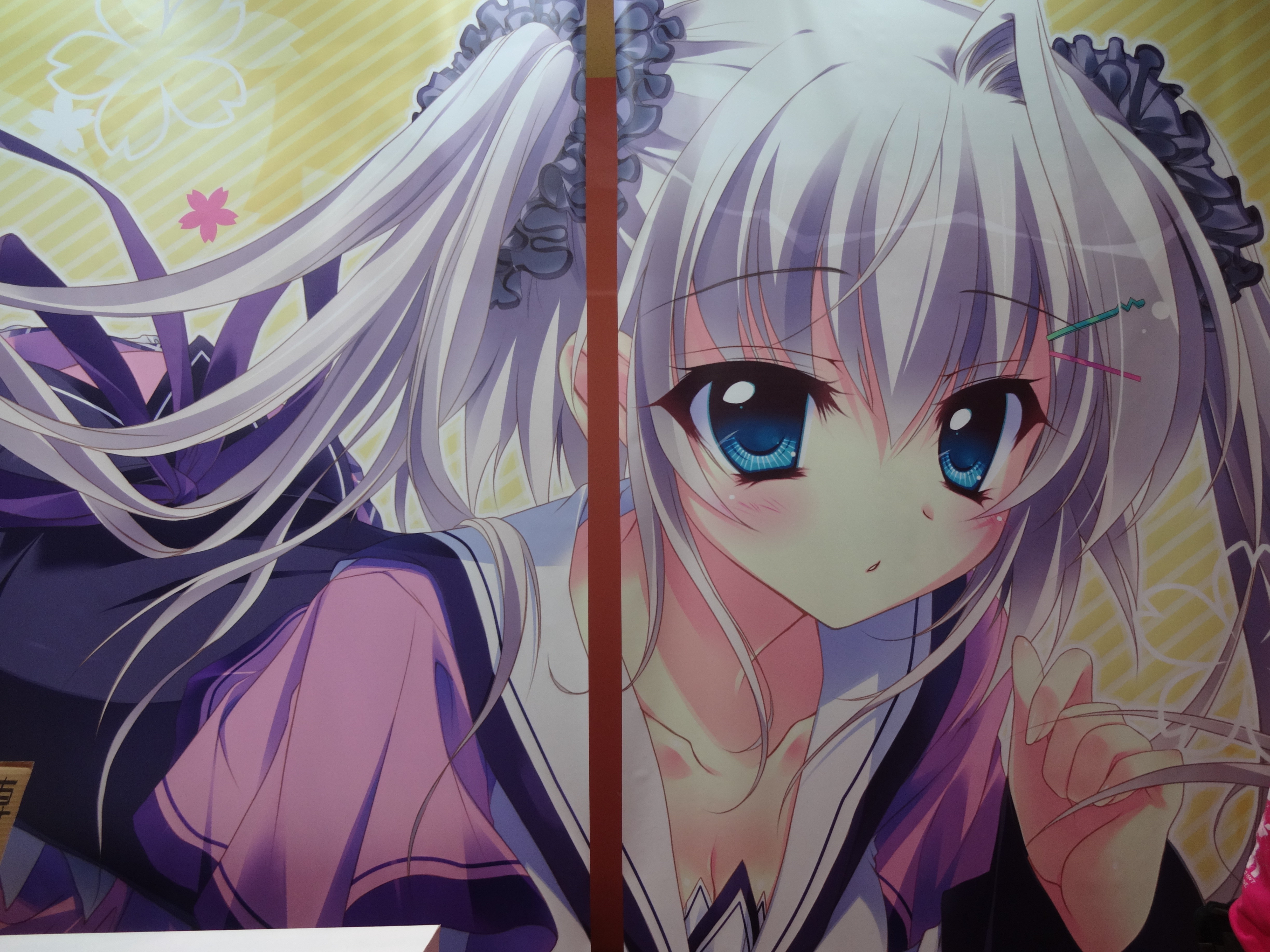 和泉つばす＆涼香総合14->画像>216枚 