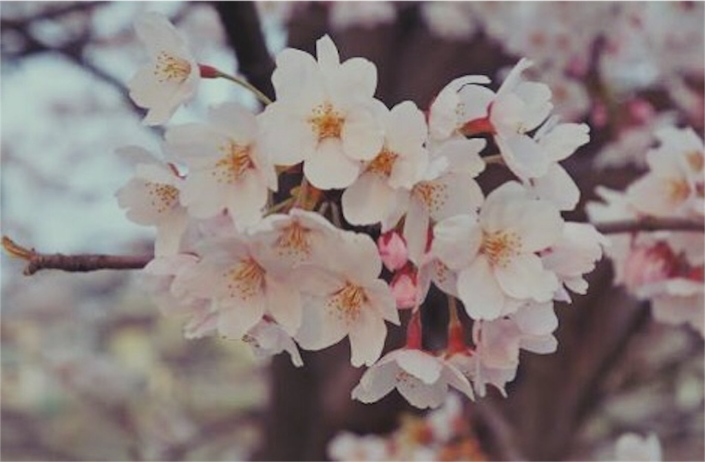 f:id:thoth-kanako:20160403113013j:image f:id:thoth-kanako:20160403113013j:image
