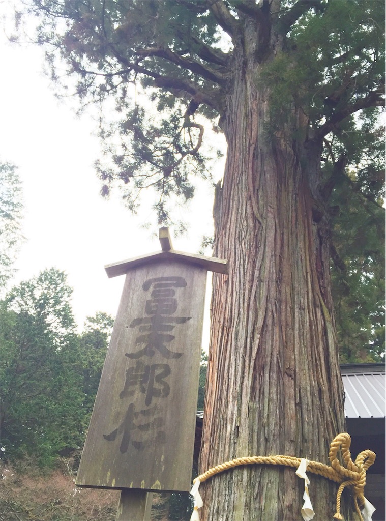 f:id:thoth-kanako:20160408110143j:image f:id:thoth-kanako:20160408110143j:image