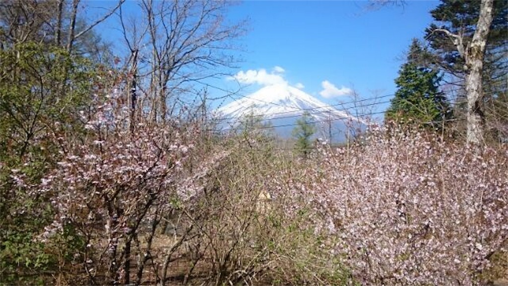 f:id:thoth-kanako:20160408110854j:image f:id:thoth-kanako:20160408110854j:image