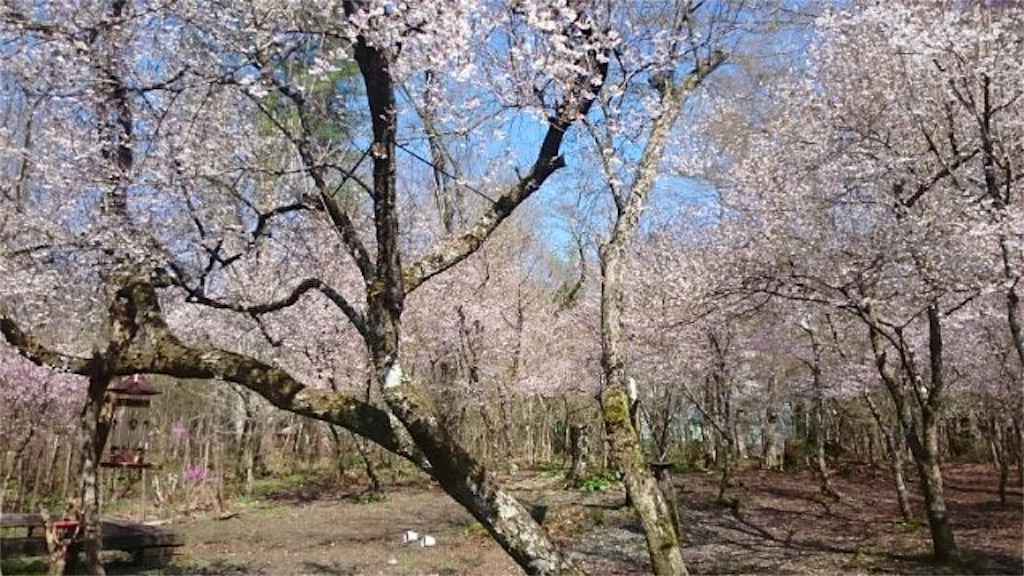 f:id:thoth-kanako:20160408110916j:image f:id:thoth-kanako:20160408110916j:image