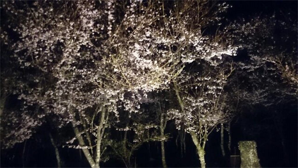 f:id:thoth-kanako:20160408110927j:image f:id:thoth-kanako:20160408110927j:image