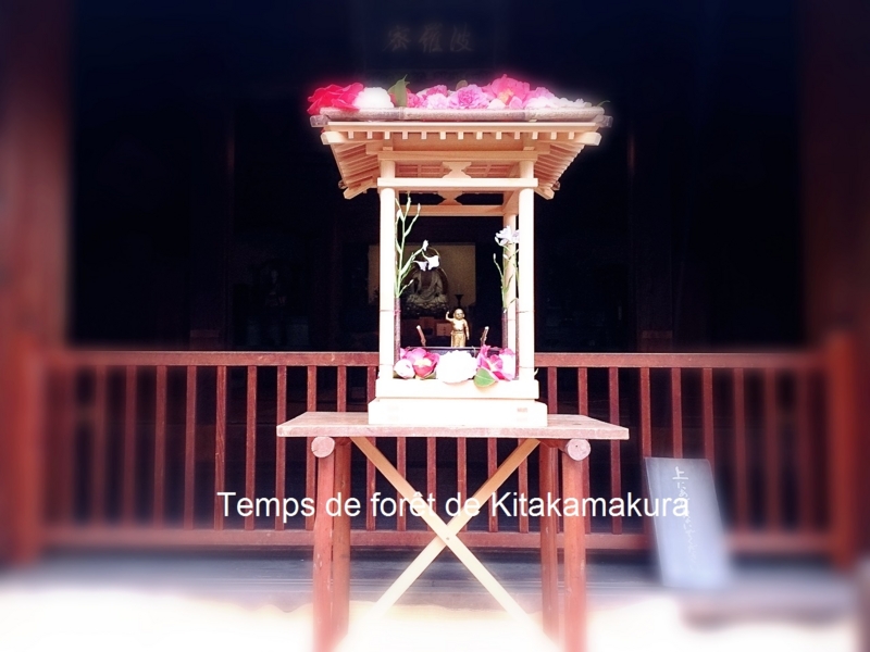 f:id:tinamaru:20150408171738j:plain f:id:tinamaru:20150408171738j:plain
