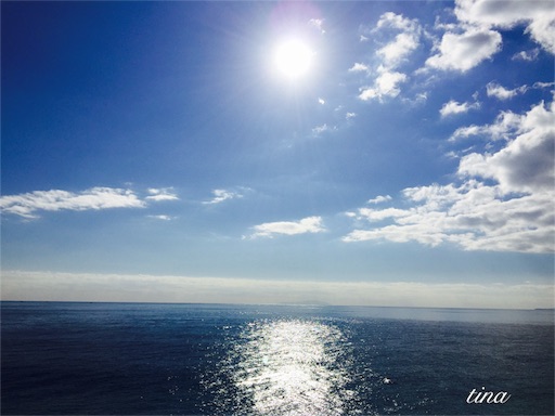 f:id:tinamaru:20151228210556j:image f:id:tinamaru:20151228210556j:image