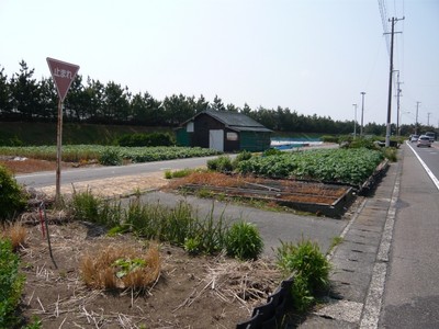 f:id:tipitu:20080507230353j:image f:id:tipitu:20080507230353j:image
