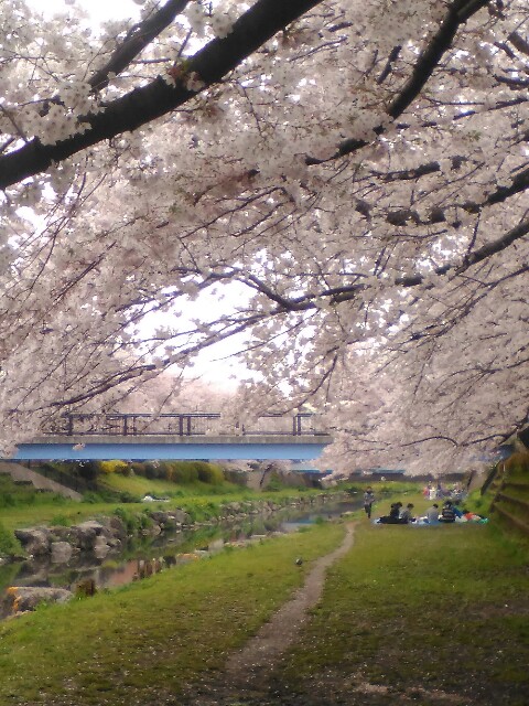 f:id:tiredof_waitingforyou:20160406020724j:image f:id:tiredof_waitingforyou:20160406020724j:image