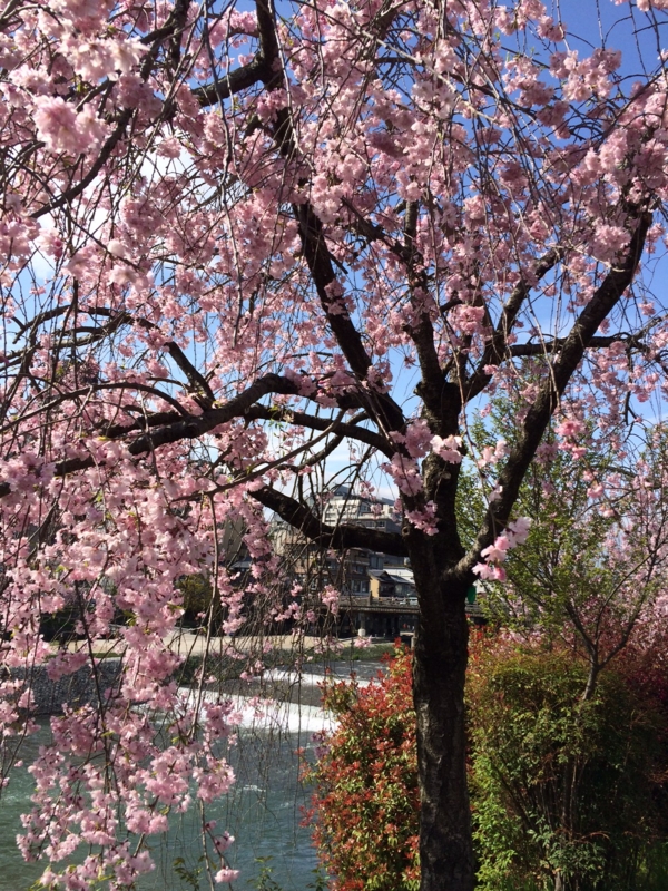f:id:tititami12:20150411083129j:plain f:id:tititami12:20150411083129j:plain