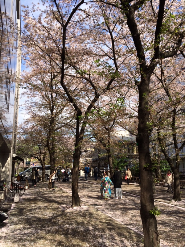 f:id:tititami12:20150411083136j:plain f:id:tititami12:20150411083136j:plain