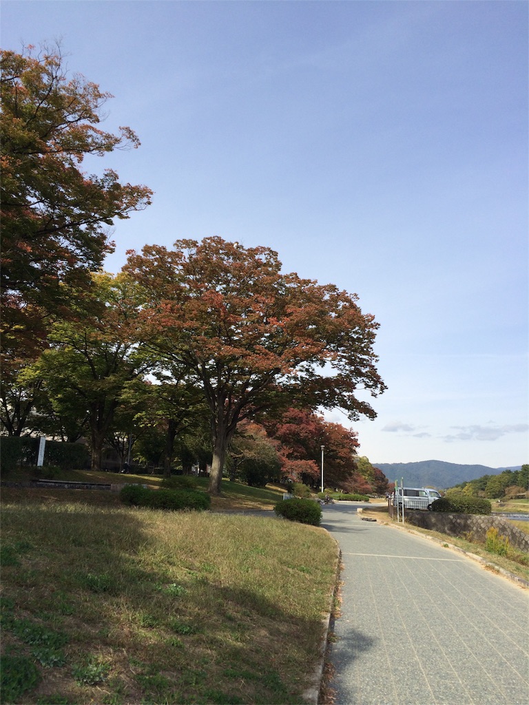 f:id:tititami12:20151101195315j:image f:id:tititami12:20151101195315j:image