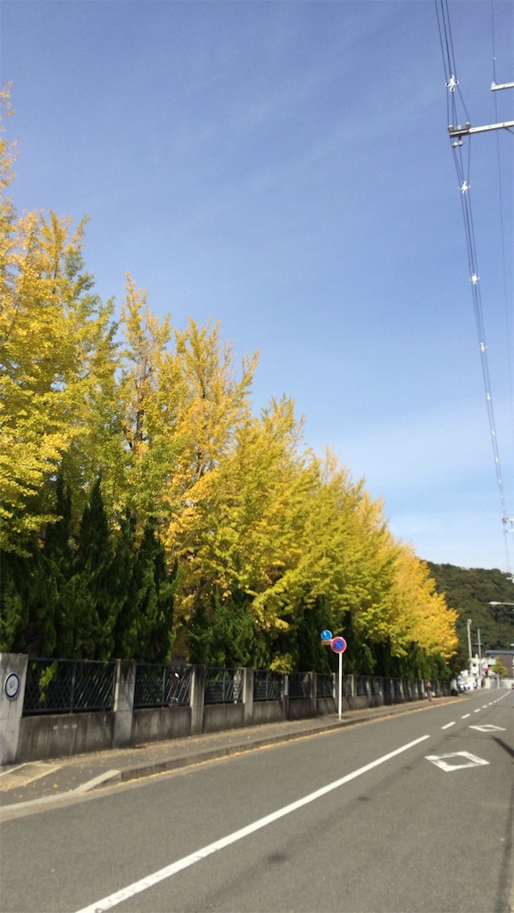 f:id:tititami12:20151101195338j:image f:id:tititami12:20151101195338j:image