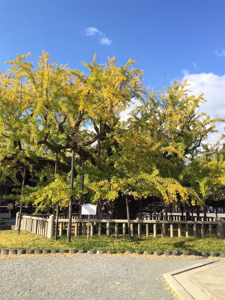 f:id:tititami12:20151128224606j:image f:id:tititami12:20151128224606j:image