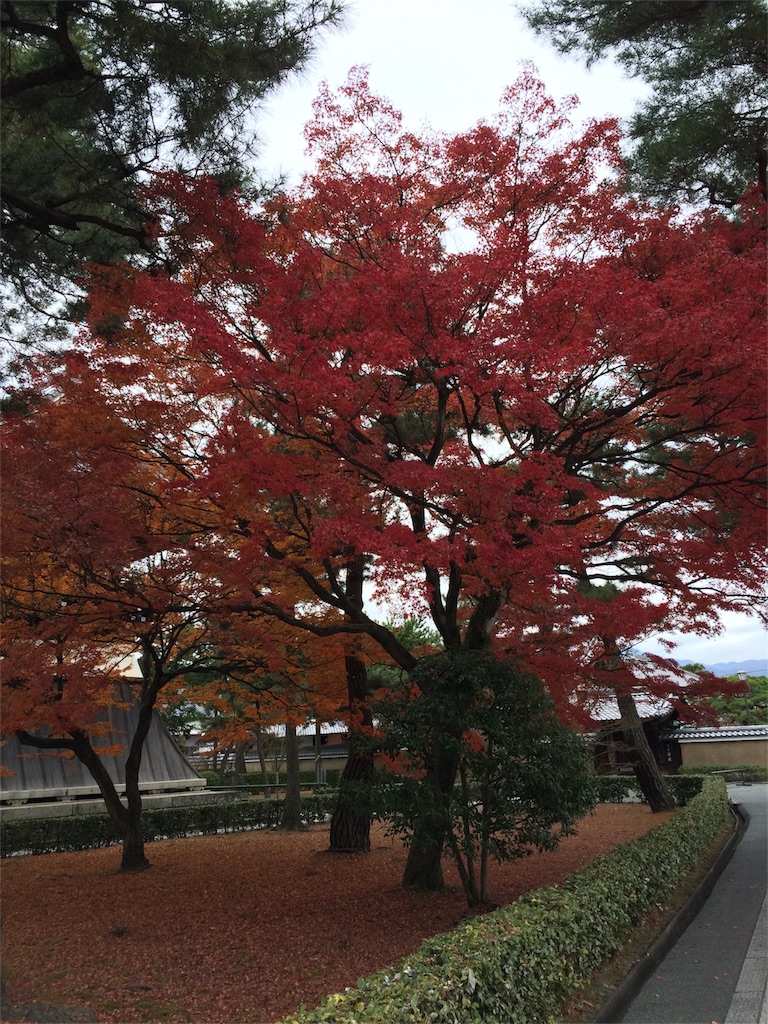 f:id:tititami12:20151218181322j:image f:id:tititami12:20151218181322j:image