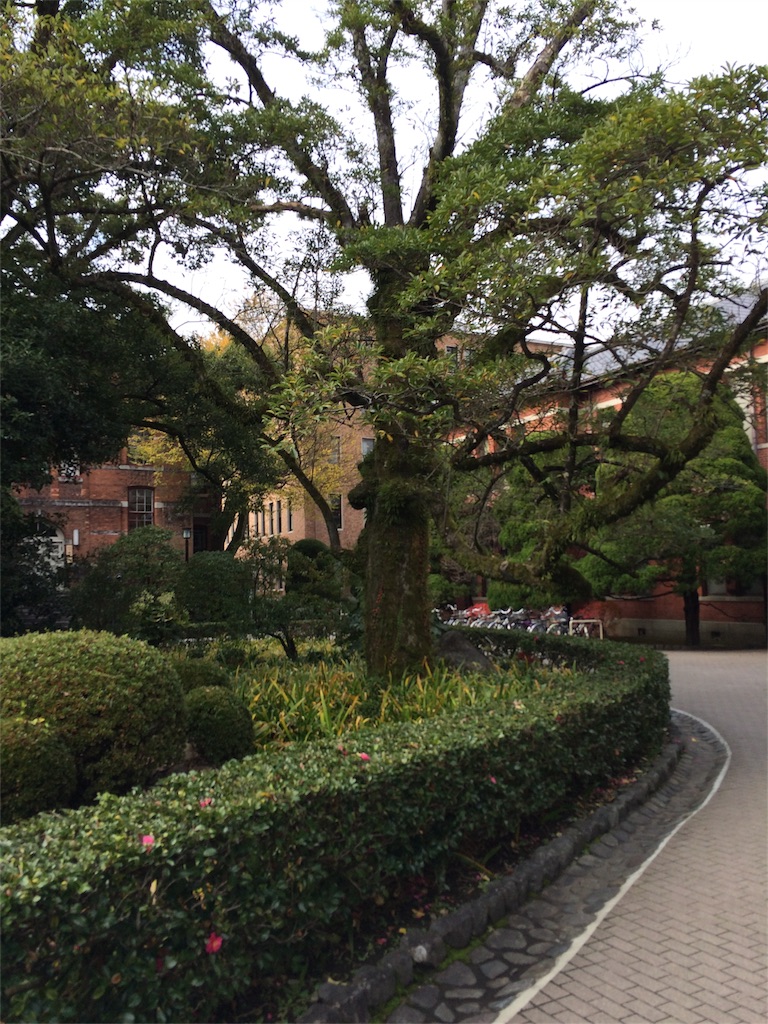 f:id:tititami12:20151218181531j:image f:id:tititami12:20151218181531j:image