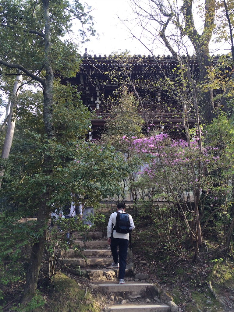 f:id:tititami12:20160406215105j:image f:id:tititami12:20160406215105j:image