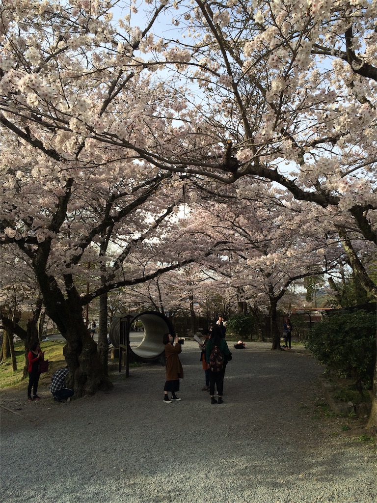 f:id:tititami12:20160406215159j:image f:id:tititami12:20160406215159j:image