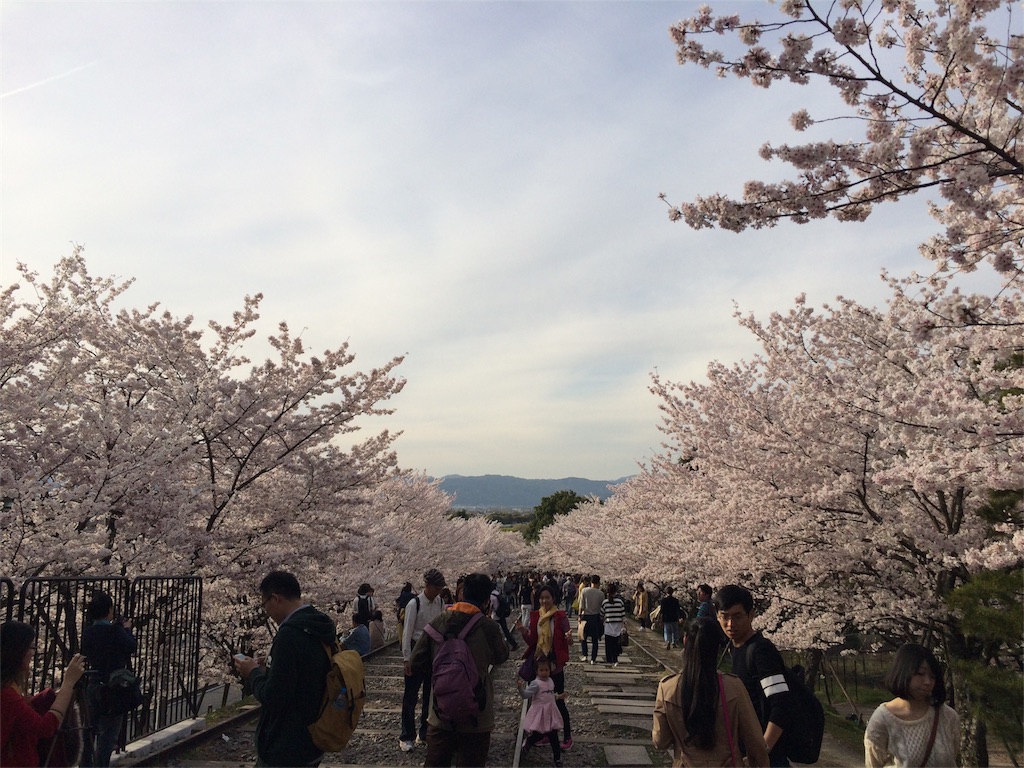 f:id:tititami12:20160406215229j:image f:id:tititami12:20160406215229j:image