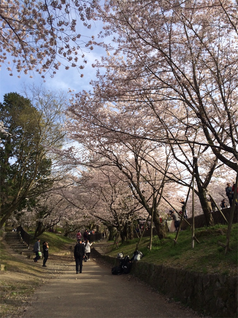 f:id:tititami12:20160406215249j:image f:id:tititami12:20160406215249j:image