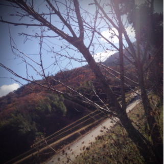 f:id:tk1969:20130205183650j:plain f:id:tk1969:20130205183650j:plain