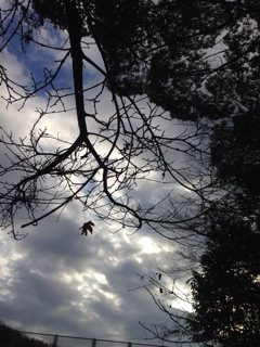 f:id:tk1969:20130206184559j:plain f:id:tk1969:20130206184559j:plain