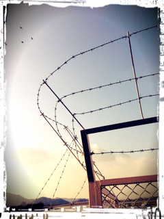 f:id:tk1969:20130211183407j:plain f:id:tk1969:20130211183407j:plain