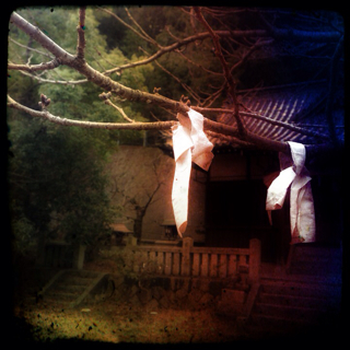 f:id:tk1969:20130227182430j:plain f:id:tk1969:20130227182430j:plain